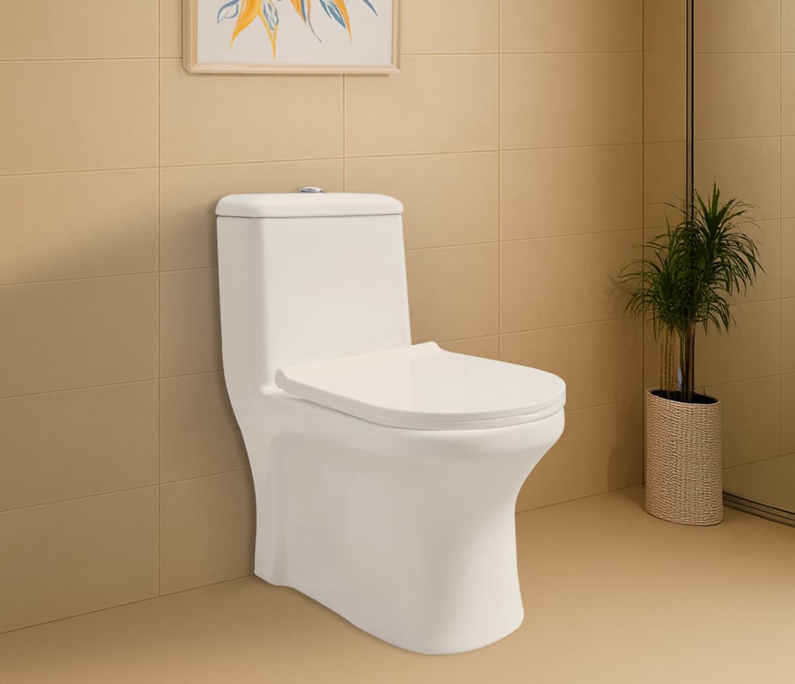 Ascent One Piece Toilet