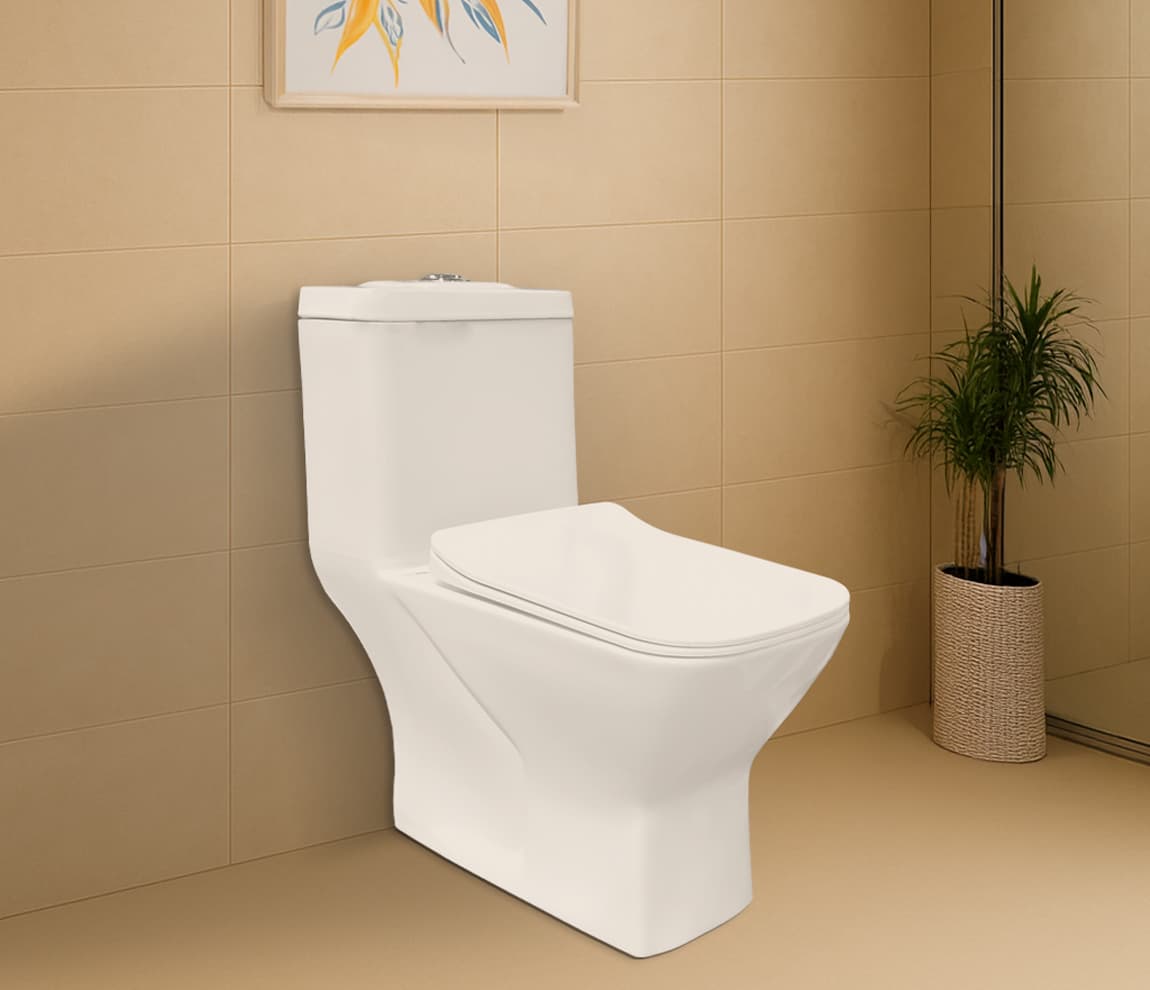 Sharp One Piece Toilet