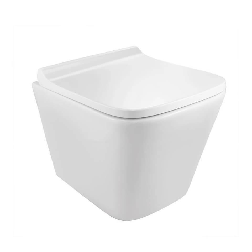 Rimless Blind Installation Wall Hung WC
