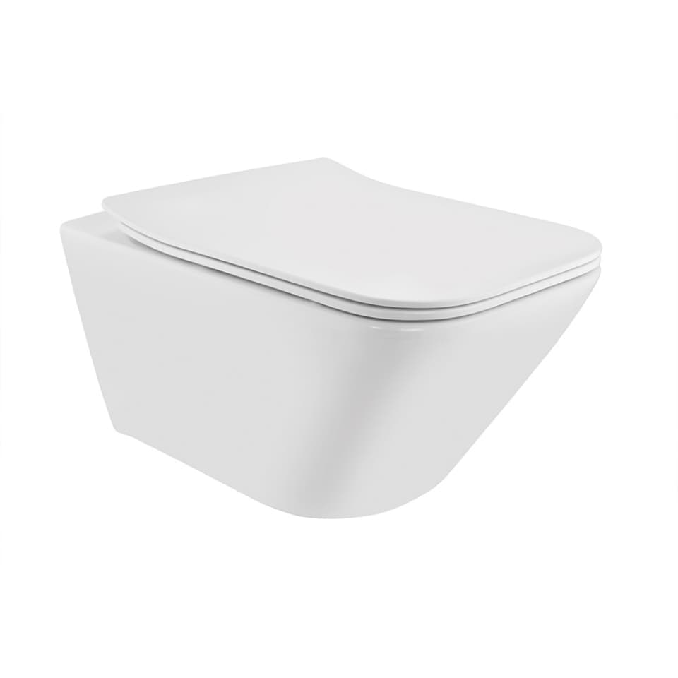 Rimless Blind Installation Wall Hung WC